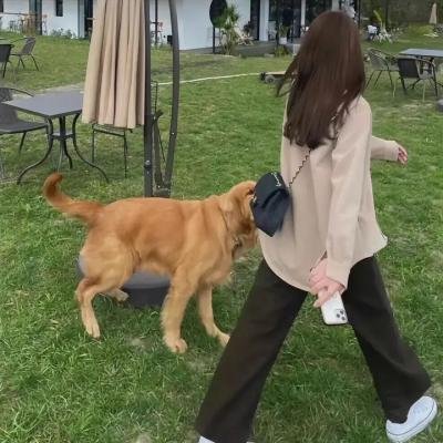 牙狼 炎之刻印